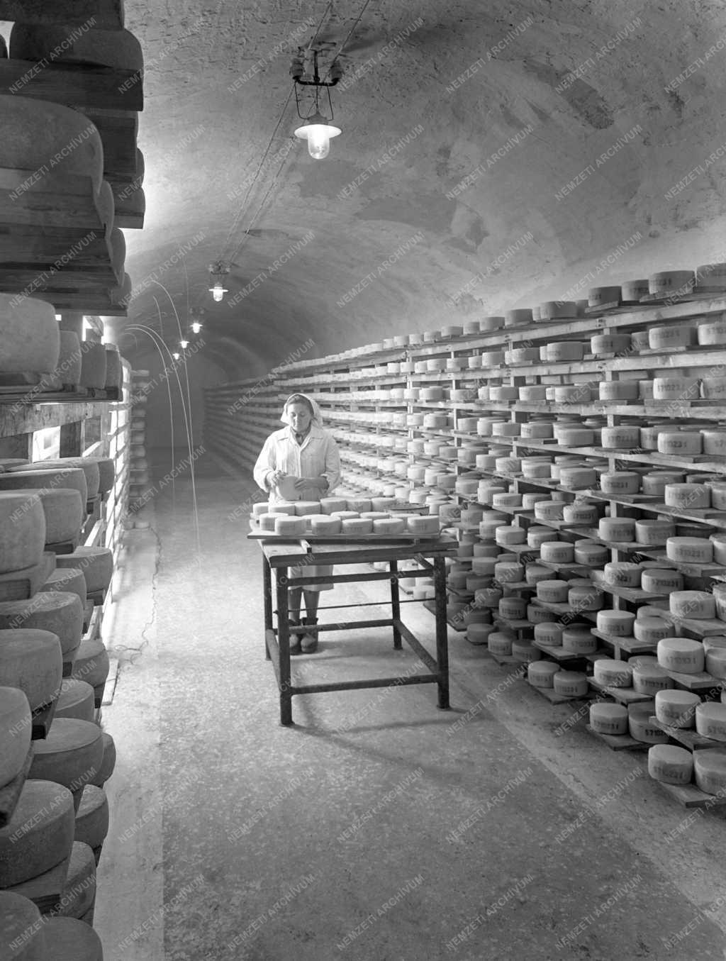 Élelmiszeripar - Sajtgyár Villányban