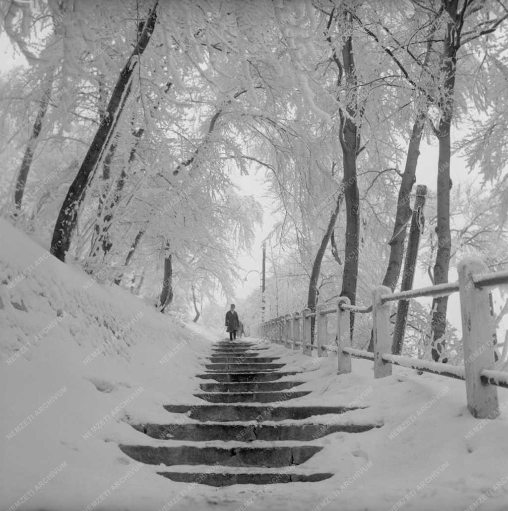 Időjárás - Téli táj