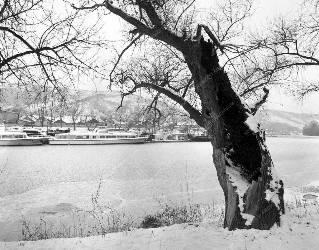 A jég fogságában - Telelnek a hajók