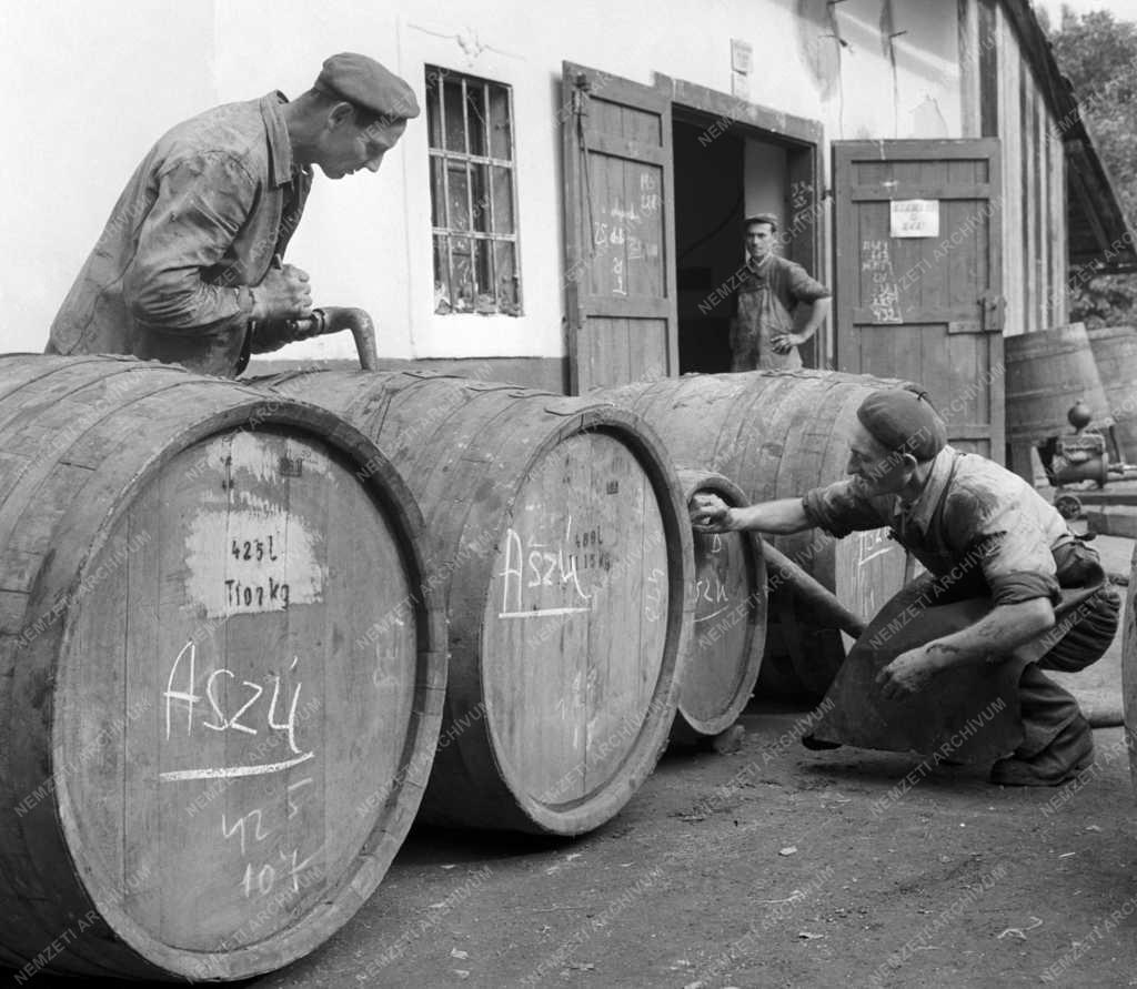 Borászat - Tokaji aszú