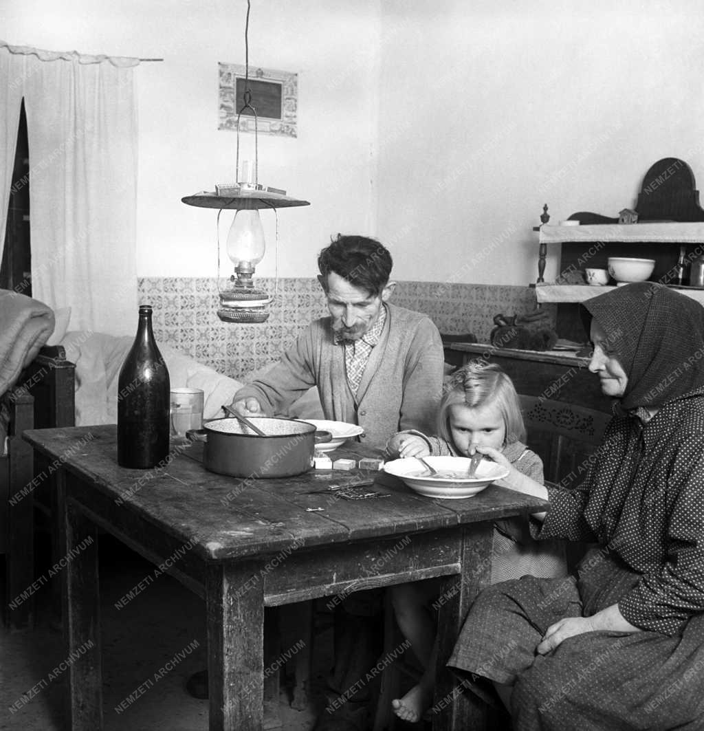 Mezőgazdaság - Család