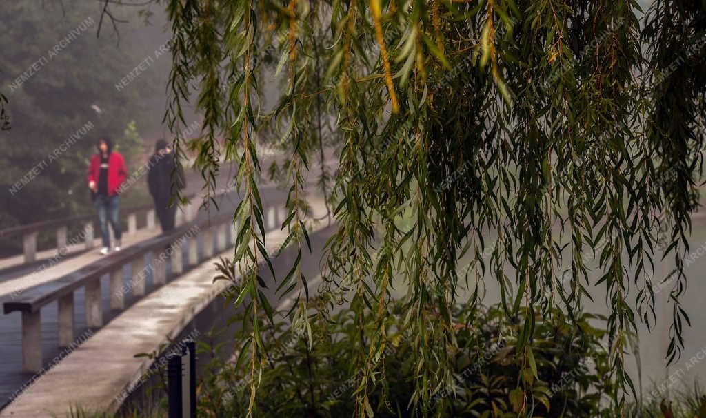 Időjárás - Ősz Debrecenben