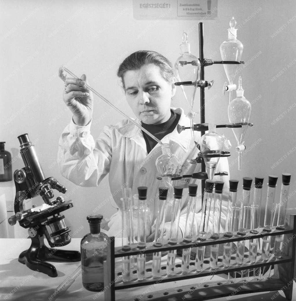 Egészségügy - Vizsgálat a mozgó laboratóriumban