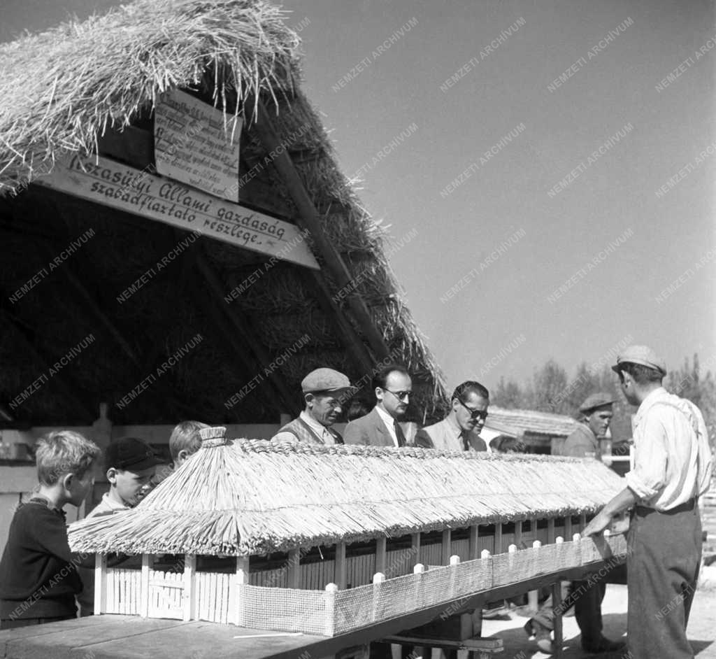 Mezőgazdaság - Szolnok megyei mezőgazdasági kiállítás