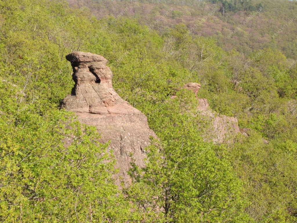 Természet - Babás szerkövek a  Mecsekben