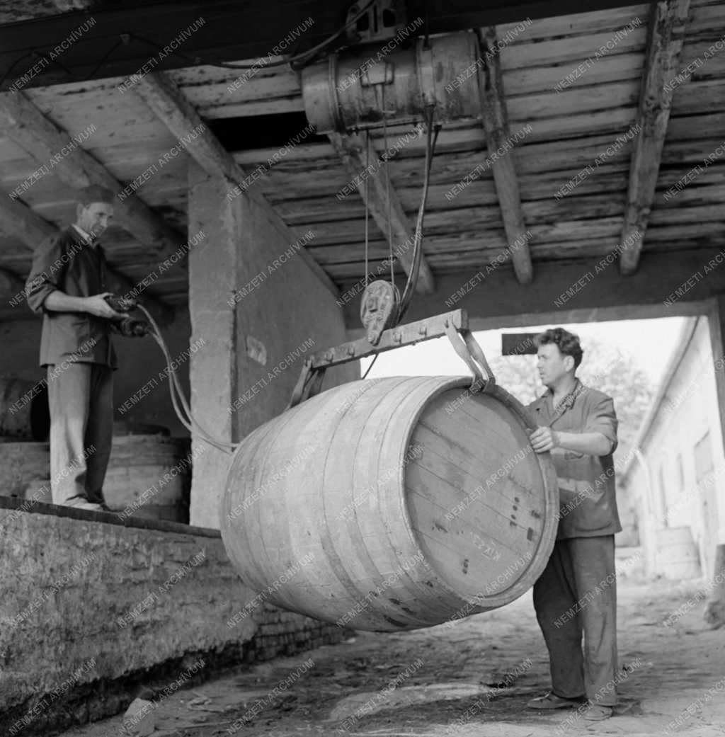 Ipar - Borászat - Százhúsz éves borospince