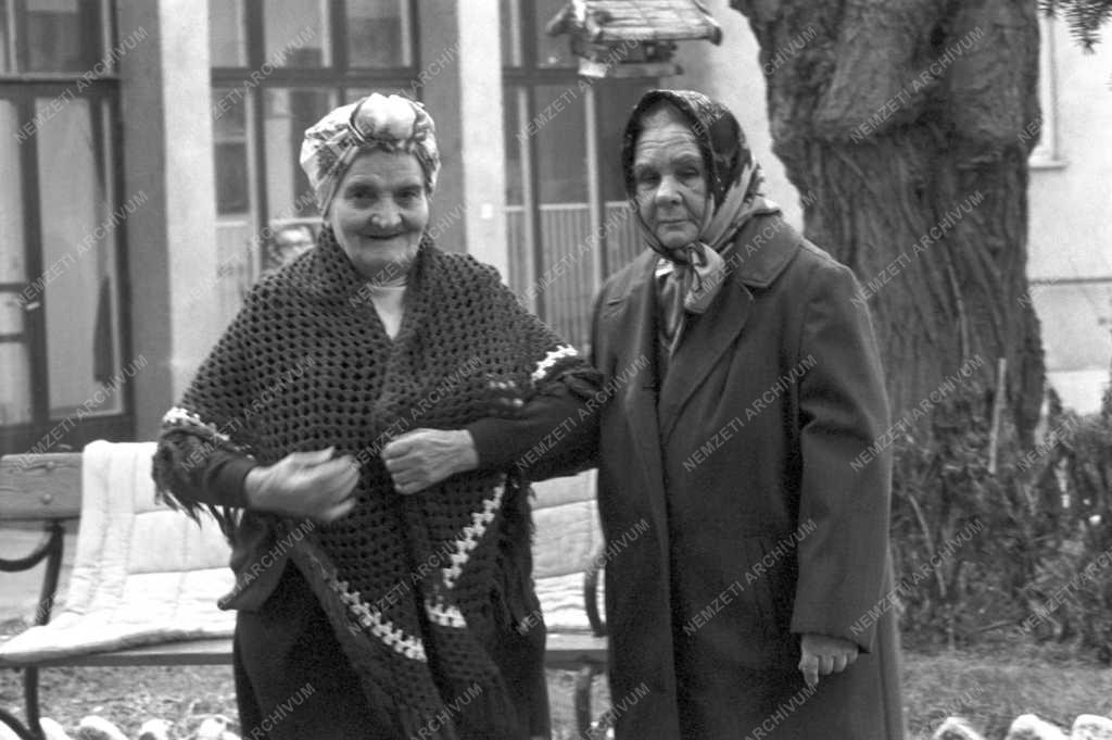 Művészet - Maczó Mihályné naiv festő