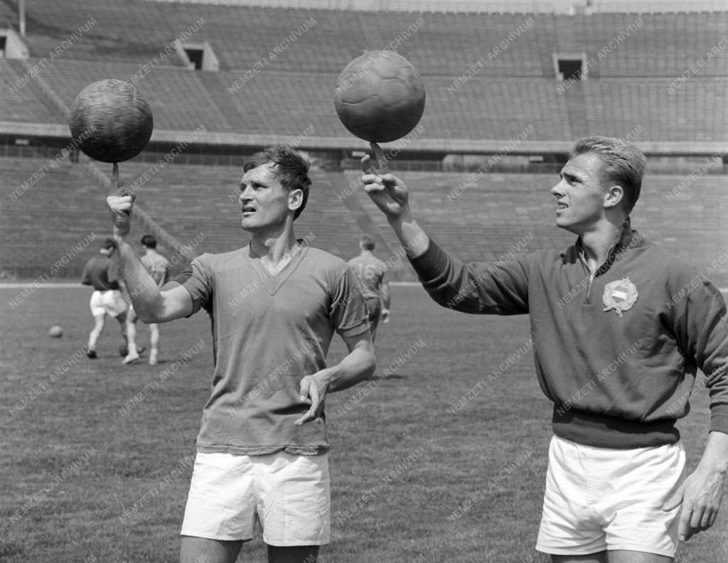 Sport - Labdarúgás -  A válogatott készül a Svédország elleni mérkőzésre