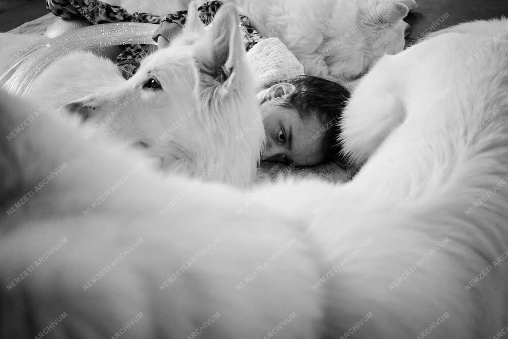 A 38. Magyar Sajtófotó Pályázat - Cséfalvay Á. András 