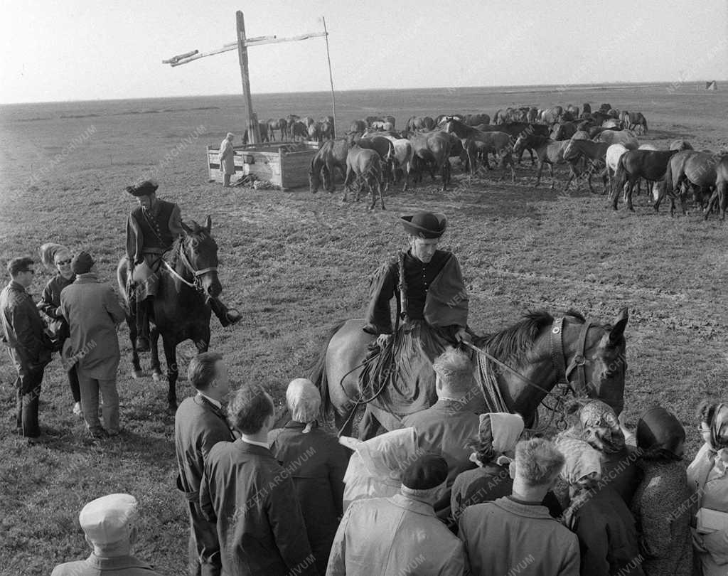 A szerző válogatása - Nyári idegenforgalom a Hortobágyon