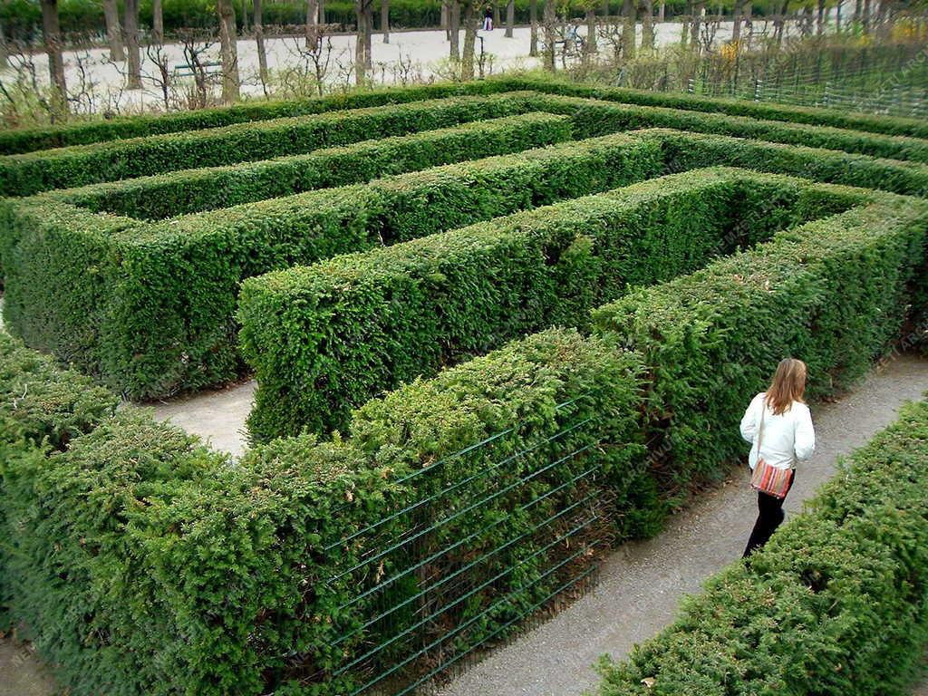 Bécs - A Schönbrunn-i kastélypark - Labirintus