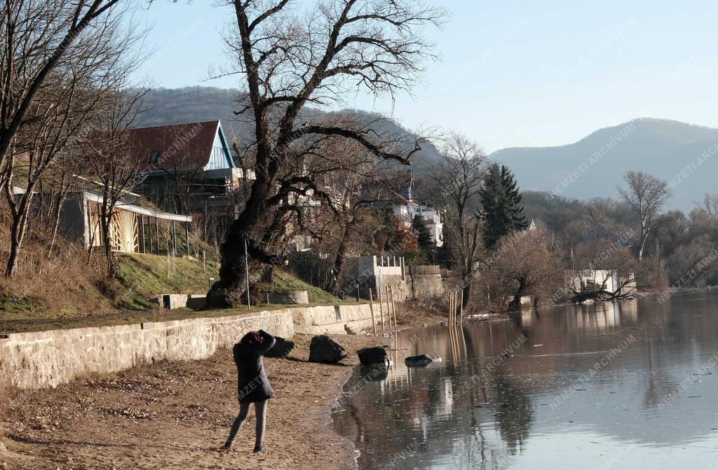 Természet - Zebegény - Duna-part