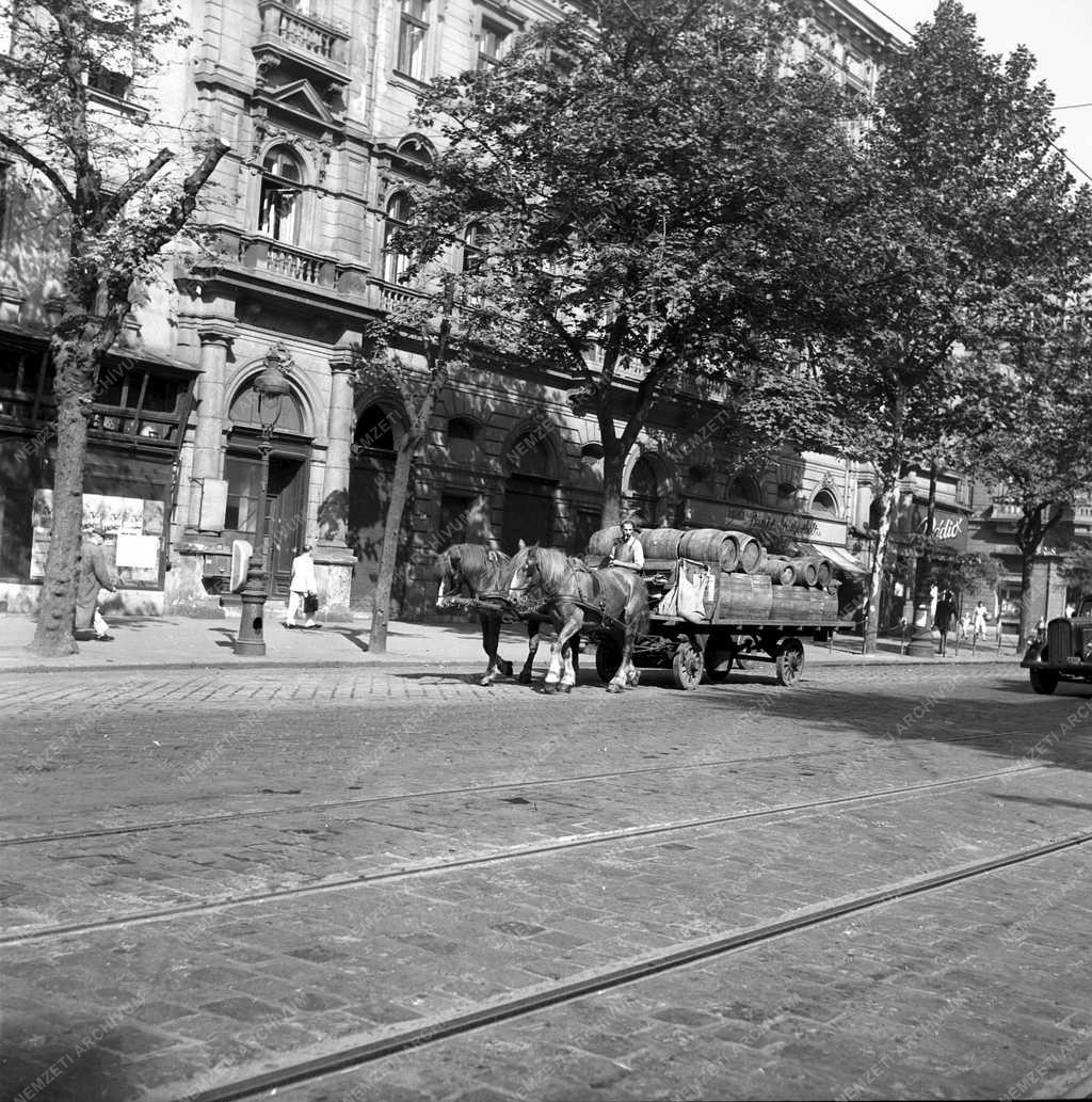 Szállítás - Lovas kocsik Budapesten