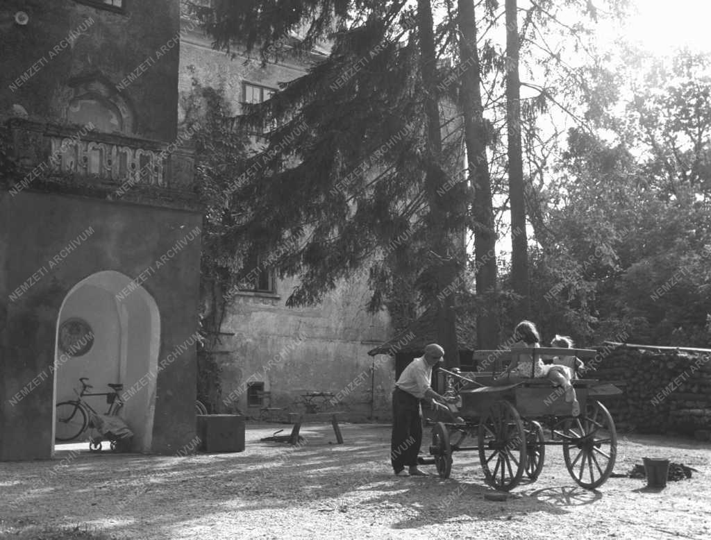 Művészet - A zsennyei művésztelep