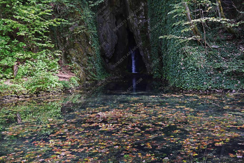 Természet - Szilvásvárad - Szikla-forrás