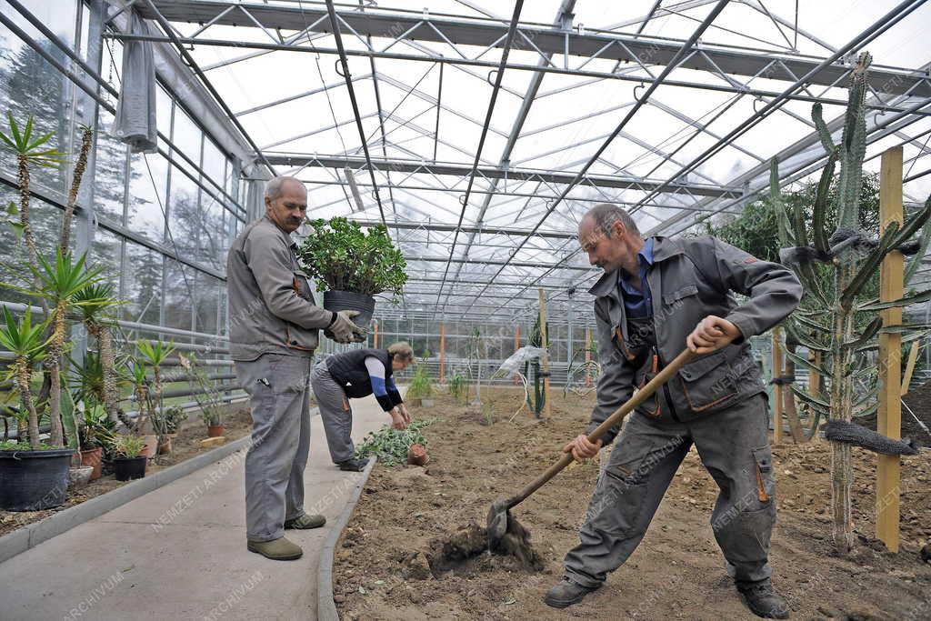 Épület - Debrecen - Új üvegház a botanikus kertben