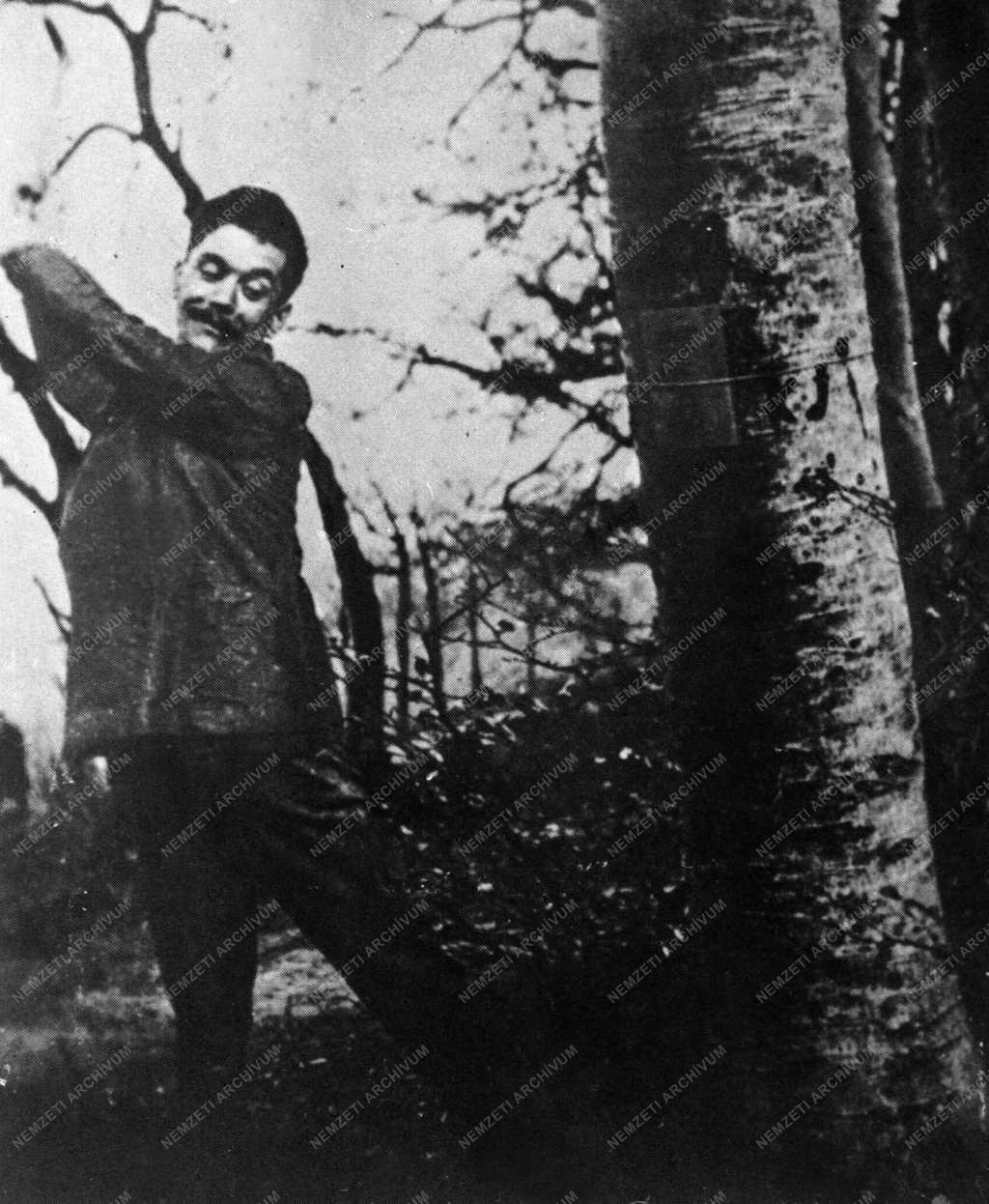 József Attila költő