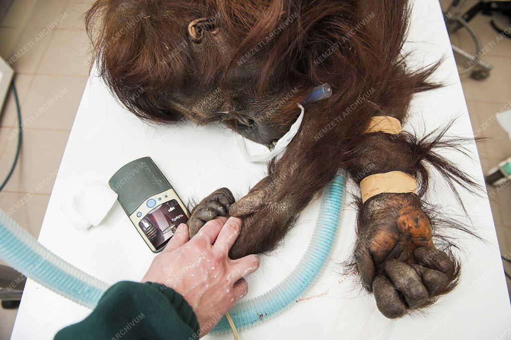 32. Magyar Sajtófotó Pályázat