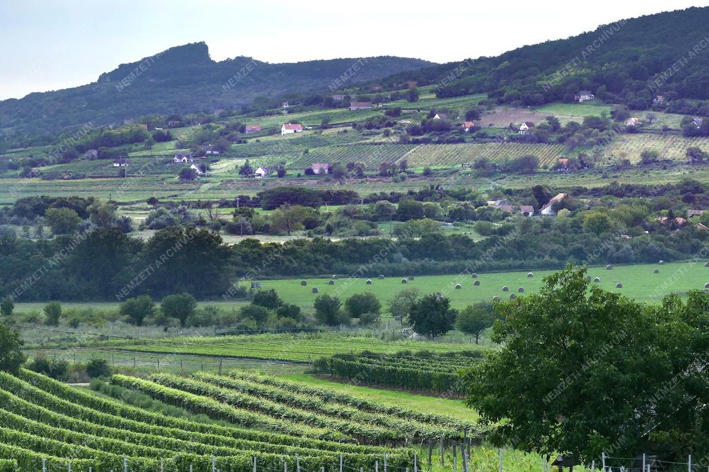 Tájkép - Balatonfelvidéki táj