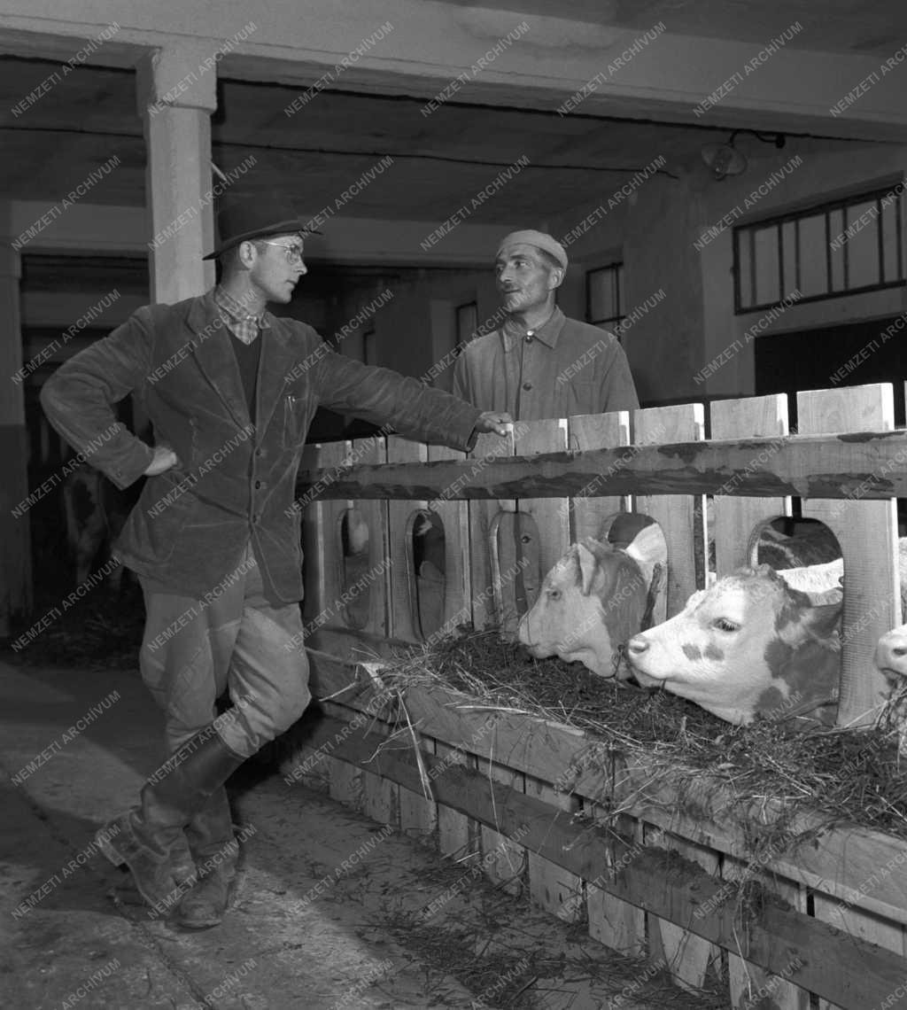 Oktatás - Mosonmagyaróvári Mezőgazdasági Akadémia 