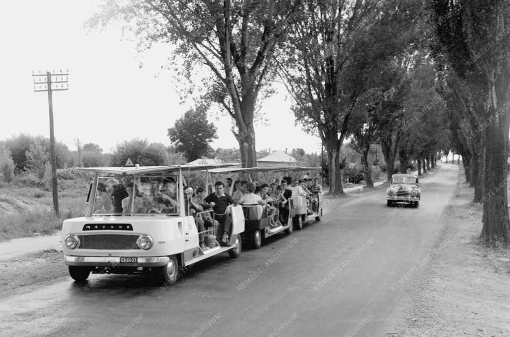 Idegenforgalom - Mikrobusszal a Balaton partján