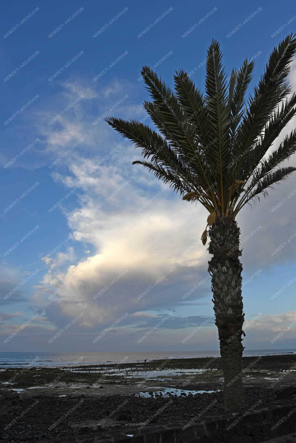Természet - Playa de la Americas - Napkelte 