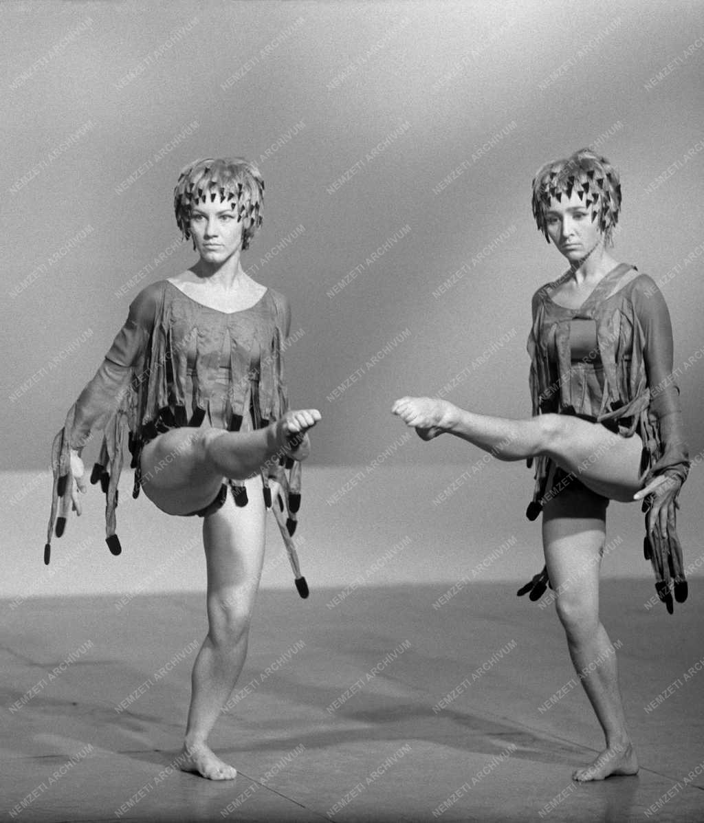 A televízió képernyőjén a Pécsi Balett. Fellegi Tamás rendezésében filmre veszik a Pécsi Balett műsorából Beethoven: Prometheus nyitányára írt egyfelvonásos balettet. Koreográfus: Eck Imre, operatőr Kenyeres Gábor