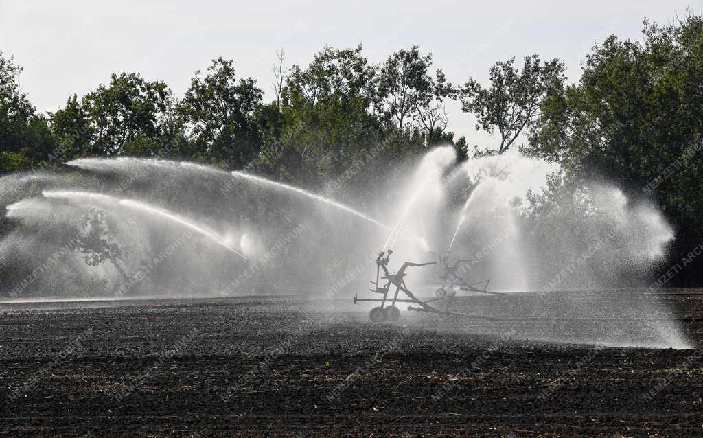 Mezőgazdaság - Hajdúnánás - Őszi talajmunkák