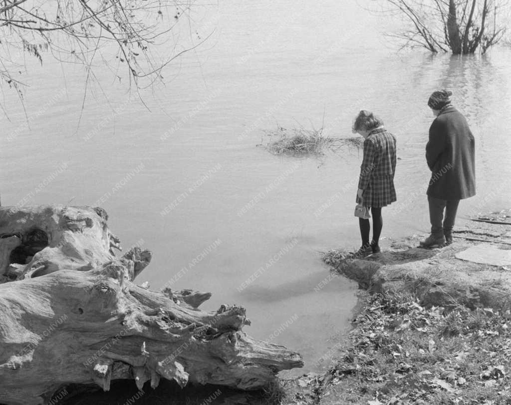 Életkép - Fiatalok a Duna folyó partján