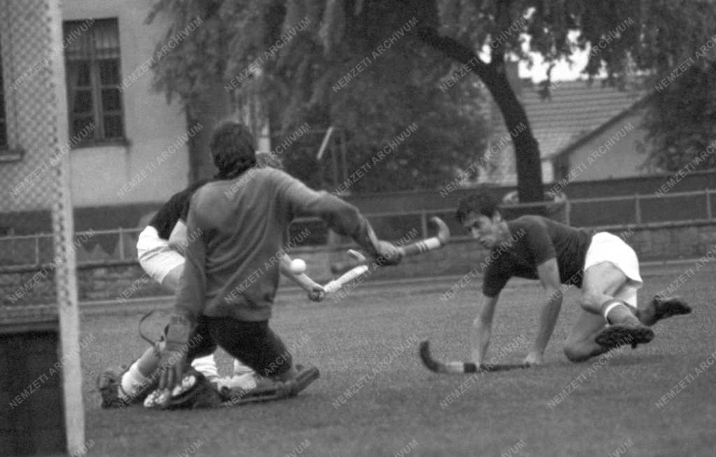Sport - Budapest-Bécs válogatott gyeplabadamérkőzés