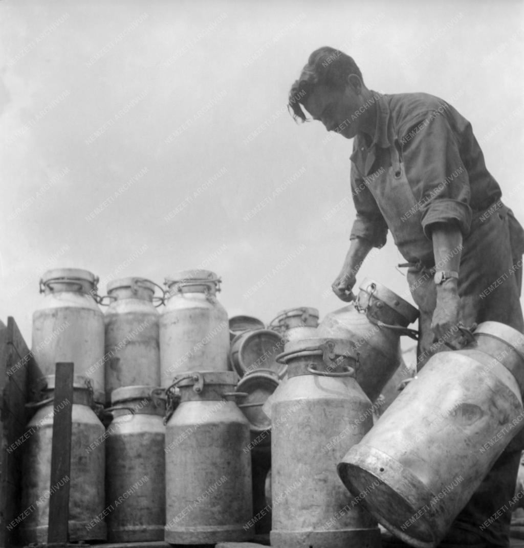 Élelmiszeripar - Országos Magyar Tejszövetkezeti Központ