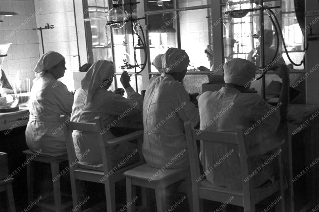 Ipar - Gyógyszeripar - Chinoin gyógyszergyár