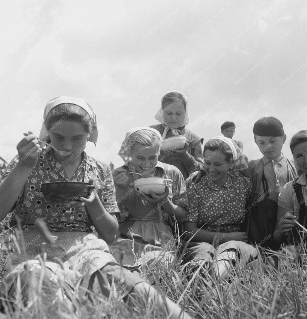 Szabadidő - Ebéd a földeken
