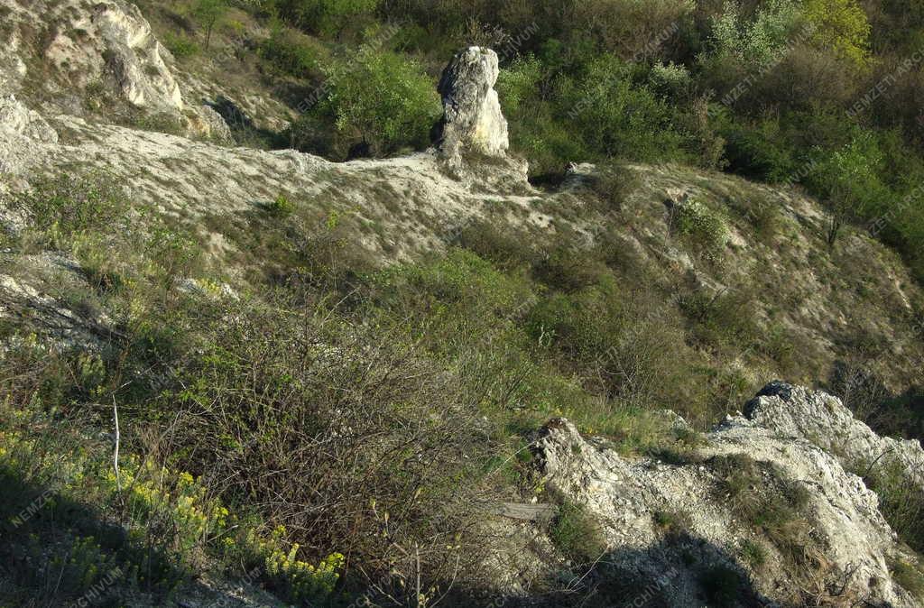 Természet - Budapest - Gejzirkúp a főváros szívében