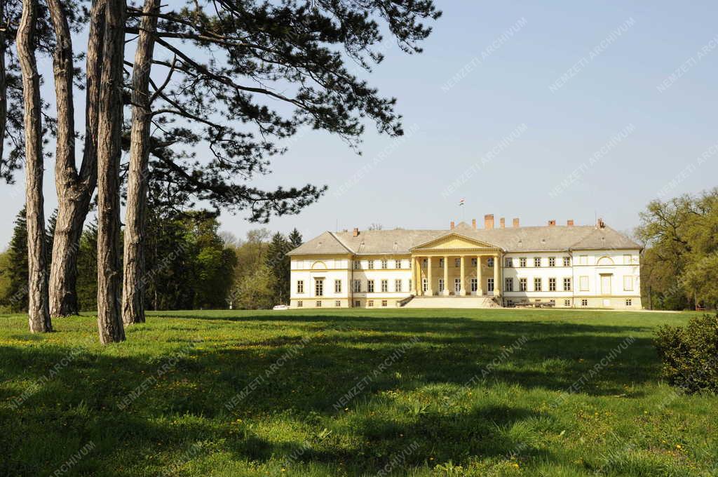 Táj, város - Dég - Festetics kastély 