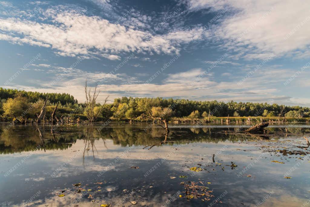 Természet - Tiszaalpár - Holt-Tisza 