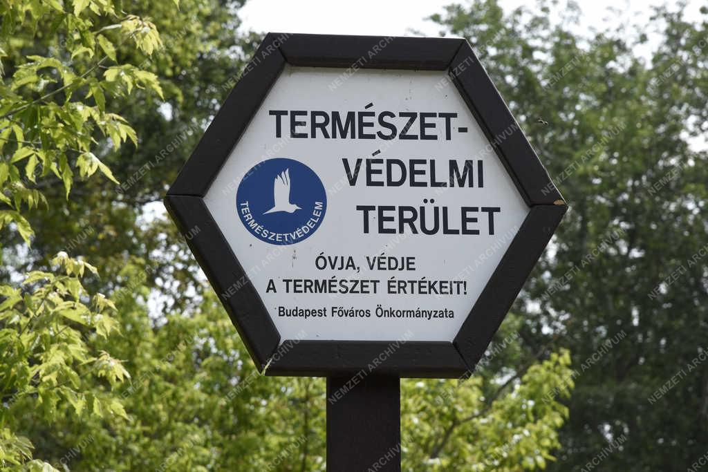 Természetvédelem - Budapest - Tájékoztató tábla