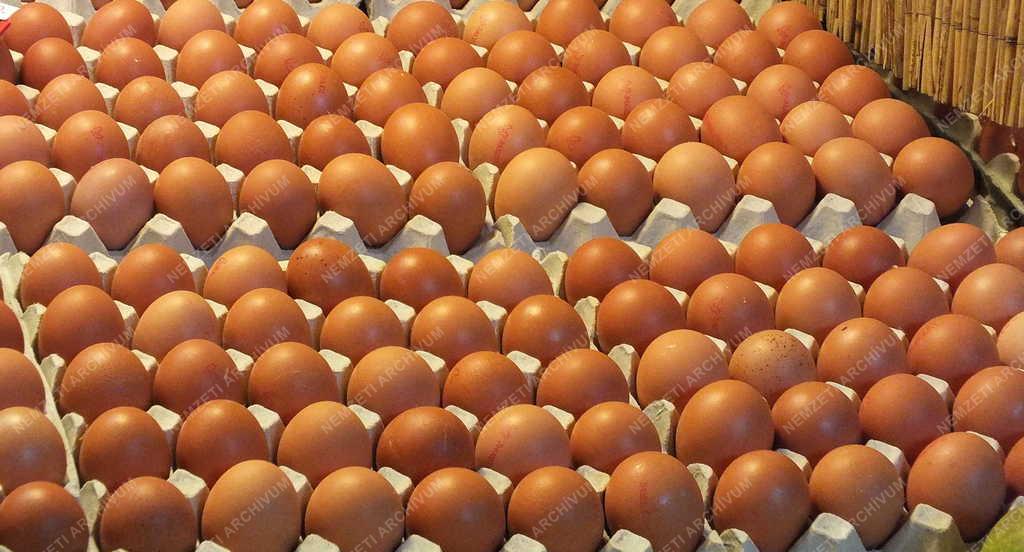 Kereskedelem - Budapest - Központi Vásárcsarnok