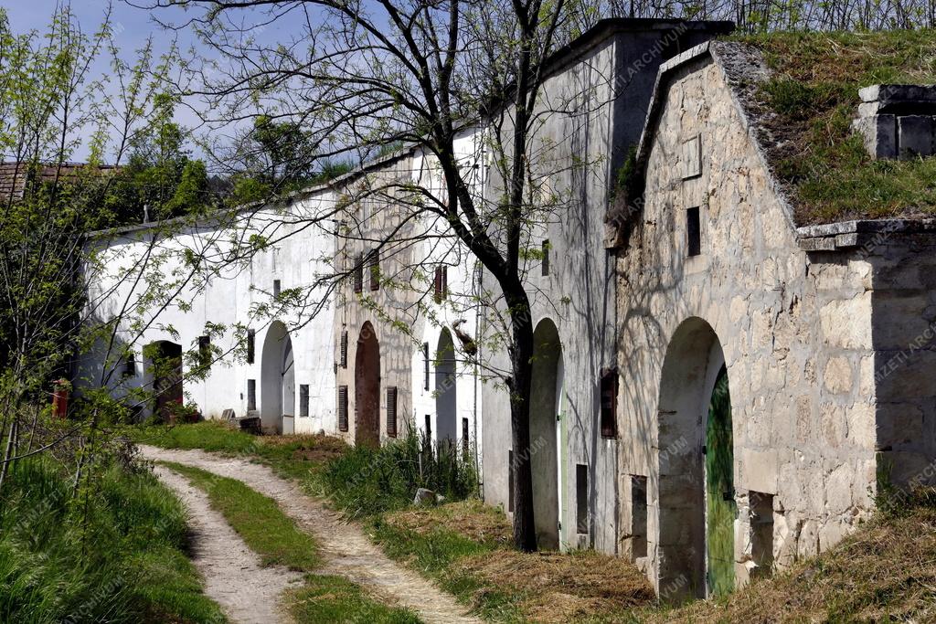 Település - Présházak és borospincék Tökön