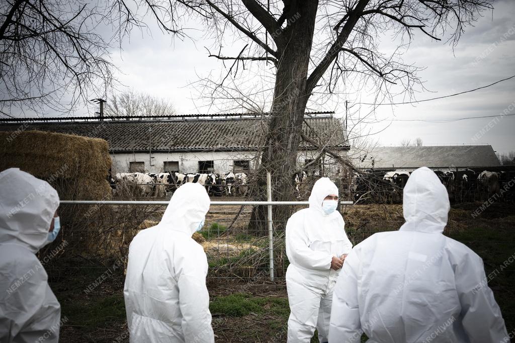 A száj-és körömfájásjárvány megfékezésével kapcsolatos munkát ellenőrizte Orbán Viktor Kisbajcson 