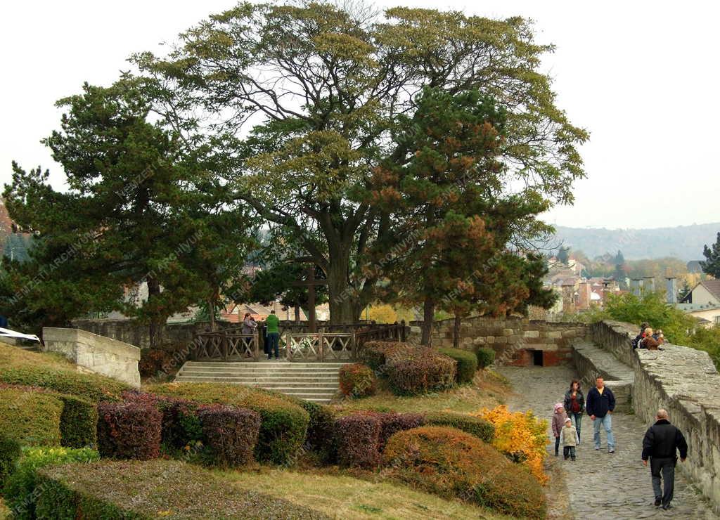 Eger - Városkép - Gárdonyi Géza nyughelye a várban