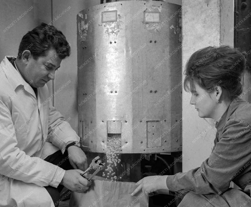 Mezőgazdaság - Tavaszra készül a Pest megyei Állami Vetőmag Felügyelőség