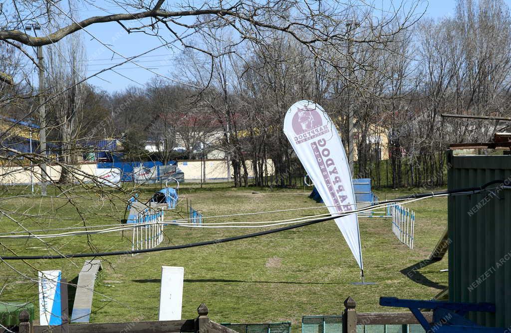 Sport - Budapest - Sportliget Kőbányán - Happy Dog Kutyaiskola