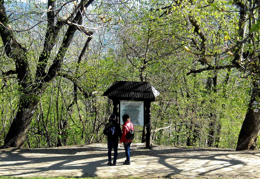 Turizmus - Budapest - Kirándulók a Normafánál
