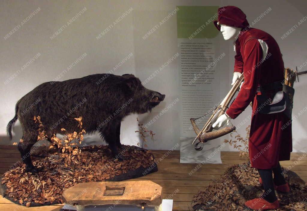 Kultúra - Hatvan - Vadászati múzeum 