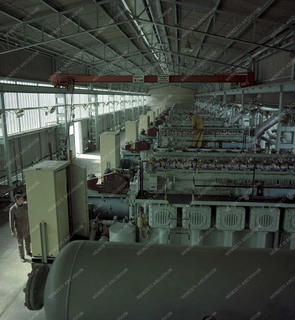 Energia - Az Algyői Gázüzem kompresszorállomása