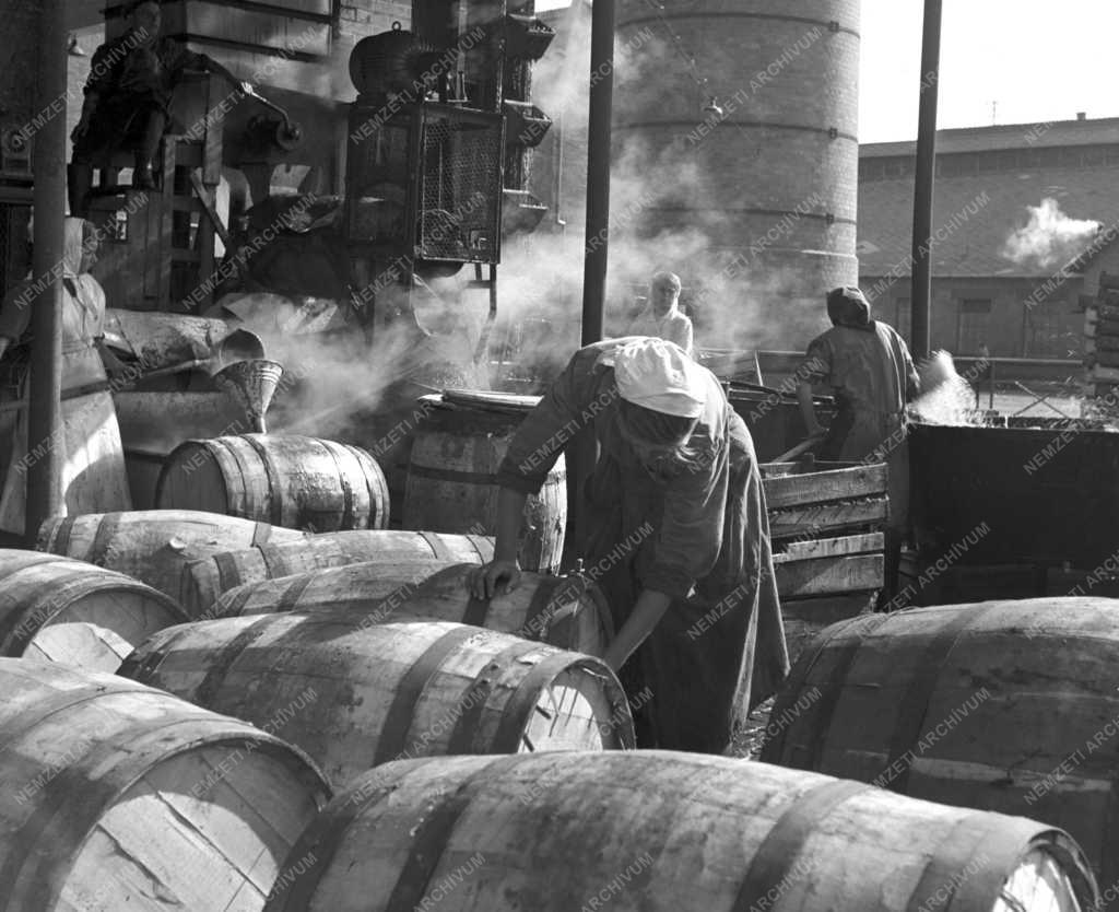 Élelmiszeripar - Kecskeméti Kinizsi Konzervgyár