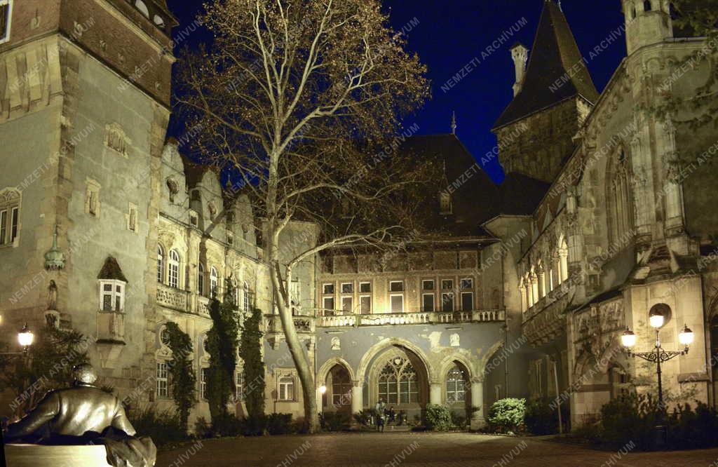 Városkép - Budapest - Vajdahunyad vár 