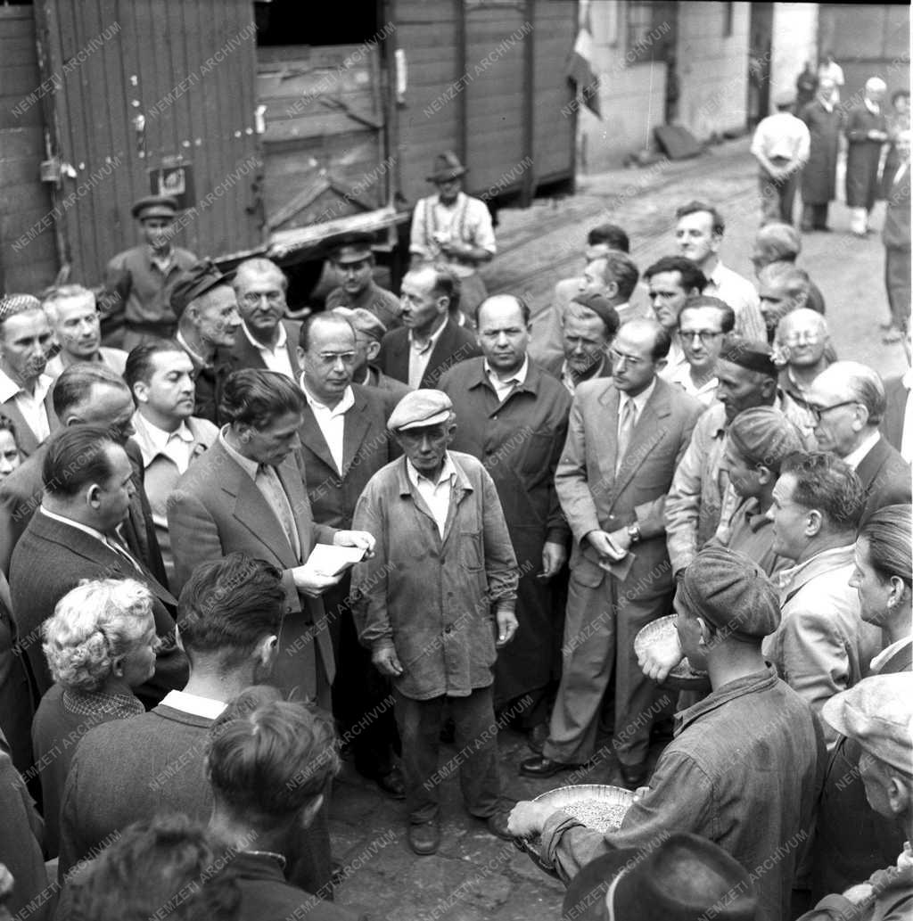 Gazdaság - Az első idei gabonaszállítmány