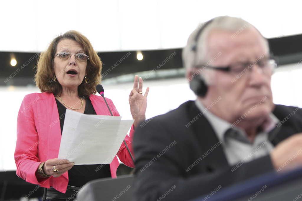 Az Európai Parlament plenáris ülése